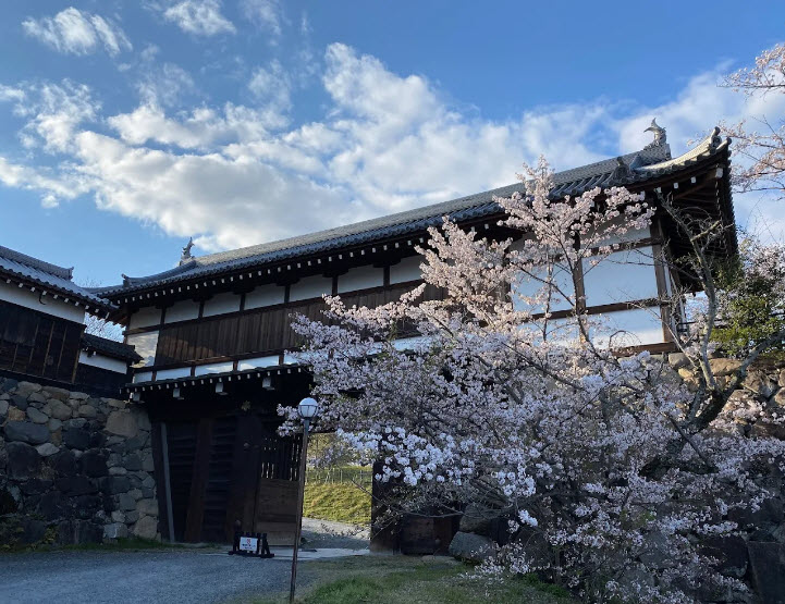 Koriyama Castle Ruins, Japan